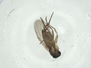  ( - CBG-A26107-G11)  @11 [ ] CreativeCommons - Attribution Share - Alike (2024) Centre for Biodiversity Genomics Centre for Biodiversity Genomics