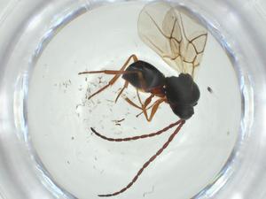  ( - CBG-A26110-F04)  @11 [ ] CreativeCommons - Attribution Share - Alike (2024) Centre for Biodiversity Genomics Centre for Biodiversity Genomics