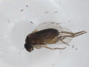  ( - CBG-A26114-C06)  @11 [ ] CreativeCommons - Attribution Share - Alike (2024) Centre for Biodiversity Genomics Centre for Biodiversity Genomics