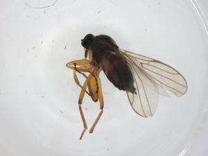  ( - CBG-A26114-E01)  @11 [ ] CreativeCommons - Attribution Share - Alike (2024) Centre for Biodiversity Genomics Centre for Biodiversity Genomics