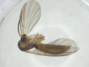  ( - CBG-A26115-C07)  @11 [ ] CreativeCommons - Attribution Share - Alike (2024) Centre for Biodiversity Genomics Centre for Biodiversity Genomics