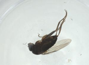  ( - CBG-A26118-C04)  @11 [ ] CreativeCommons - Attribution Share - Alike (2024) Centre for Biodiversity Genomics Centre for Biodiversity Genomics