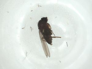  ( - CBG-A26124-F03)  @11 [ ] CreativeCommons - Attribution Share - Alike (2024) Centre for Biodiversity Genomics Centre for Biodiversity Genomics