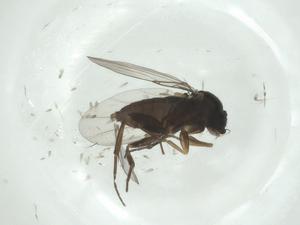  ( - CBG-A26124-F08)  @11 [ ] CreativeCommons - Attribution Share - Alike (2024) Centre for Biodiversity Genomics Centre for Biodiversity Genomics