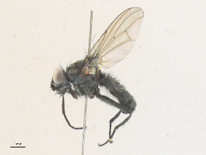  ( - CBG-A27569-B02)  @11 [ ] CreativeCommons - Attribution Share - Alike (2024) CBG Photography Group Centre for Biodiversity Genomics