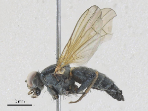  ( - CBG-A27569-D09)  @11 [ ] CreativeCommons - Attribution Share - Alike (2024) CBG Photography Group Centre for Biodiversity Genomics