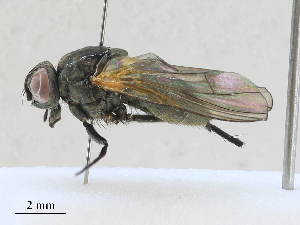  ( - CBG-A27570-F09)  @11 [ ] CreativeCommons - Attribution Share - Alike (2024) CBG Photography Group Centre for Biodiversity Genomics