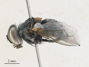  ( - CBG-A27572-D02)  @11 [ ] CreativeCommons - Attribution Share - Alike (2024) CBG Photography Group Centre for Biodiversity Genomics