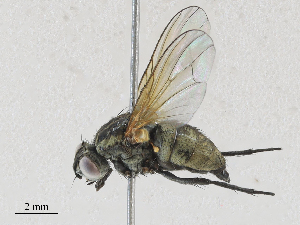  ( - CBG-A27572-E12)  @11 [ ] CreativeCommons - Attribution Share - Alike (2024) CBG Photography Group Centre for Biodiversity Genomics