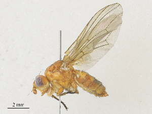  ( - CBG-A27573-C10)  @11 [ ] CreativeCommons - Attribution Share - Alike (2024) CBG Photography Group Centre for Biodiversity Genomics