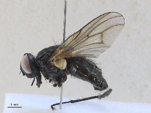  ( - CBG-A27573-F05)  @11 [ ] CreativeCommons - Attribution Share - Alike (2024) CBG Photography Group Centre for Biodiversity Genomics