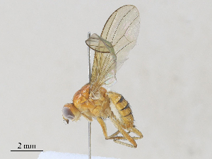  ( - CBG-A27573-F09)  @11 [ ] CreativeCommons - Attribution Share - Alike (2024) CBG Photography Group Centre for Biodiversity Genomics