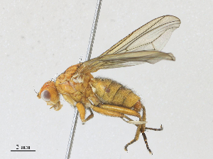  ( - CBG-A27575-A09)  @11 [ ] CreativeCommons - Attribution Share - Alike (2024) CBG Photography Group Centre for Biodiversity Genomics