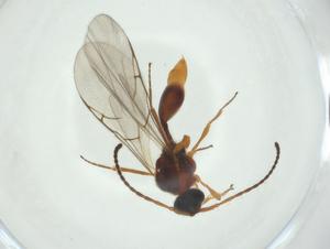  ( - CBG-A27644-B05)  @11 [ ] CreativeCommons - Attribution Share - Alike (2024) Centre for Biodiversity Genomics Centre for Biodiversity Genomics