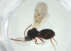  ( - CBG-A27644-E12)  @11 [ ] CreativeCommons - Attribution Share - Alike (2024) Centre for Biodiversity Genomics Centre for Biodiversity Genomics