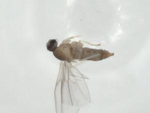  ( - CBG-A27650-E06)  @11 [ ] CreativeCommons - Attribution Share - Alike (2024) Centre for Biodiversity Genomics Centre for Biodiversity Genomics