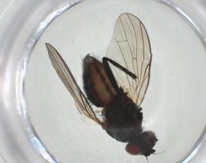  ( - CBG-A27650-E08)  @11 [ ] CreativeCommons - Attribution Share - Alike (2024) Centre for Biodiversity Genomics Centre for Biodiversity Genomics