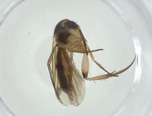  ( - CBG-A27651-B09)  @11 [ ] CreativeCommons - Attribution Share - Alike (2024) Centre for Biodiversity Genomics Centre for Biodiversity Genomics