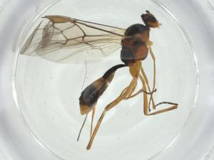  ( - CBG-A27651-F02)  @11 [ ] CreativeCommons - Attribution Share - Alike (2024) Centre for Biodiversity Genomics Centre for Biodiversity Genomics