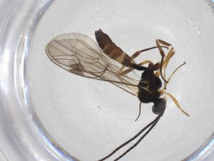  ( - CBG-A27659-F08)  @11 [ ] CreativeCommons - Attribution Share - Alike (2024) Centre for Biodiversity Genomics Centre for Biodiversity Genomics