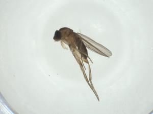  ( - CBG-A27661-F07)  @11 [ ] CreativeCommons - Attribution Share - Alike (2024) Centre for Biodiversity Genomics Centre for Biodiversity Genomics