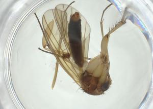  ( - CBG-A27661-H09)  @11 [ ] CreativeCommons - Attribution Share - Alike (2024) Centre for Biodiversity Genomics Centre for Biodiversity Genomics