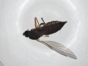  ( - CBG-A27670-E09)  @11 [ ] CreativeCommons - Attribution Share - Alike (2024) Centre for Biodiversity Genomics Centre for Biodiversity Genomics