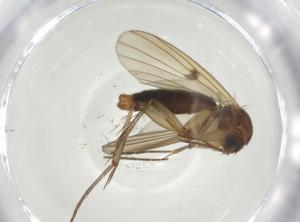  ( - CBG-A27727-F05)  @11 [ ] CreativeCommons - Attribution Share - Alike (2024) Centre for Biodiversity Genomics Centre for Biodiversity Genomics