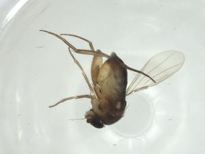  ( - CBG-A27728-G06)  @11 [ ] CreativeCommons - Attribution Share - Alike (2024) Centre for Biodiversity Genomics Centre for Biodiversity Genomics