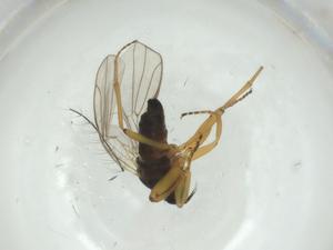  ( - CBG-A27730-D09)  @11 [ ] CreativeCommons - Attribution Share - Alike (2024) Centre for Biodiversity Genomics Centre for Biodiversity Genomics