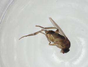  ( - CBG-A27735-H06)  @11 [ ] CreativeCommons - Attribution Share - Alike (2024) Centre for Biodiversity Genomics Centre for Biodiversity Genomics