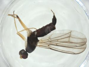  ( - CBG-A27745-H10)  @11 [ ] CreativeCommons - Attribution Share - Alike (2024) Centre for Biodiversity Genomics Centre for Biodiversity Genomics