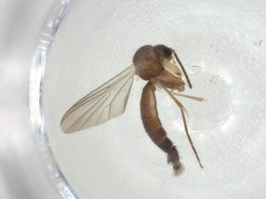  ( - CBG-A27752-C05)  @11 [ ] CreativeCommons - Attribution Share - Alike (2024) Centre for Biodiversity Genomics Centre for Biodiversity Genomics