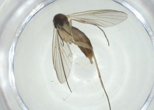  ( - CBG-A27761-F05)  @11 [ ] CreativeCommons - Attribution Share - Alike (2024) Centre for Biodiversity Genomics Centre for Biodiversity Genomics