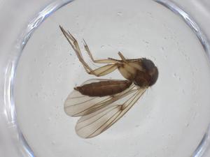  ( - CBG-A27763-E09)  @11 [ ] CreativeCommons - Attribution Share - Alike (2024) Centre for Biodiversity Genomics Centre for Biodiversity Genomics