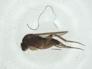  ( - CBG-A27767-E07)  @11 [ ] CreativeCommons - Attribution Share - Alike (2024) Centre for Biodiversity Genomics Centre for Biodiversity Genomics