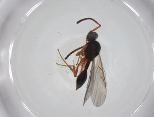  ( - CBG-A27770-F06)  @11 [ ] CreativeCommons - Attribution Share - Alike (2024) Centre for Biodiversity Genomics Centre for Biodiversity Genomics