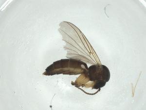  ( - CBG-A27796-F09)  @11 [ ] CreativeCommons - Attribution Share - Alike (2024) Centre for Biodiversity Genomics Centre for Biodiversity Genomics