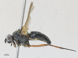  ( - CBG-A28406-G06)  @11 [ ] CreativeCommons - Attribution Share - Alike (2024) CBG Photography Group Centre for Biodiversity Genomics