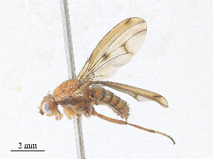  ( - CBG-A28406-H08)  @11 [ ] CreativeCommons - Attribution Share - Alike (2024) CBG Photography Group Centre for Biodiversity Genomics