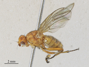  ( - CBG-A28407-A05)  @11 [ ] CreativeCommons - Attribution Share - Alike (2024) CBG Photography Group Centre for Biodiversity Genomics