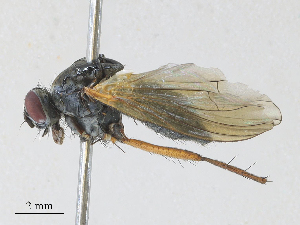  ( - CBG-A28408-F07)  @11 [ ] CreativeCommons - Attribution Share - Alike (2024) CBG Photography Group Centre for Biodiversity Genomics