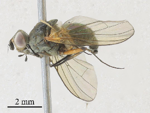  ( - CBG-A28409-A11)  @11 [ ] CreativeCommons - Attribution Share - Alike (2024) CBG Photography Group Centre for Biodiversity Genomics