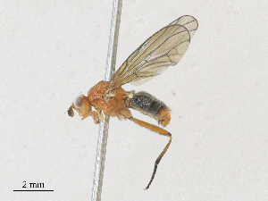  ( - CBG-A28409-A12)  @11 [ ] CreativeCommons - Attribution Share - Alike (2024) CBG Photography Group Centre for Biodiversity Genomics