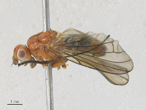  ( - CBG-A28409-C05)  @11 [ ] CreativeCommons - Attribution Share - Alike (2024) CBG Photography Group Centre for Biodiversity Genomics