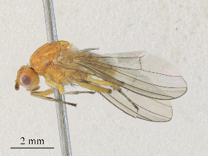  ( - CBG-A28410-B03)  @11 [ ] CreativeCommons - Attribution Share - Alike (2024) CBG Photography Group Centre for Biodiversity Genomics