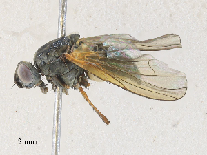  ( - CBG-A28411-D02)  @11 [ ] CreativeCommons - Attribution Share - Alike (2024) CBG Photography Group Centre for Biodiversity Genomics