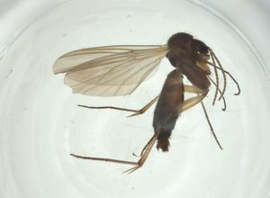  ( - CBG-A28482-A08)  @11 [ ] CreativeCommons - Attribution Share - Alike (2024) Centre for Biodiversity Genomics Centre for Biodiversity Genomics