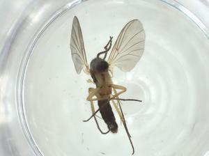  ( - CBG-A28482-H07)  @11 [ ] CreativeCommons - Attribution Share - Alike (2024) Centre for Biodiversity Genomics Centre for Biodiversity Genomics