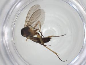  ( - CBG-A28487-H04)  @11 [ ] CreativeCommons - Attribution Share - Alike (2024) Centre for Biodiversity Genomics Centre for Biodiversity Genomics